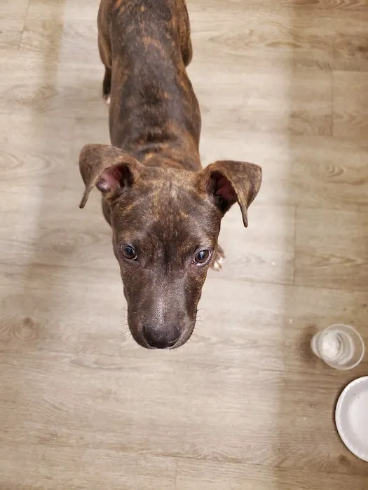 Dr. Alvin Atlas Picture 2