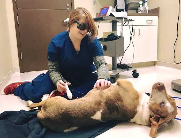 Riverview Animal Clinic Picture 4