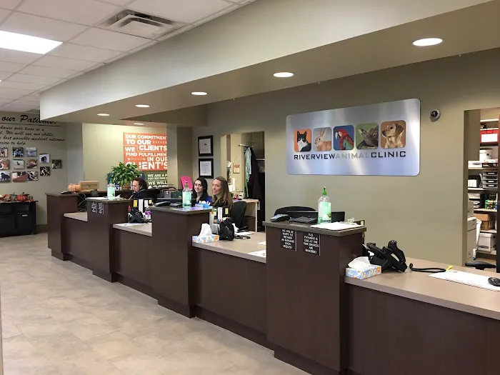 Riverview Animal Clinic Picture 3