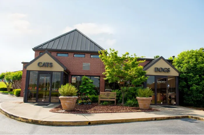 Riverview Animal Clinic Picture 7