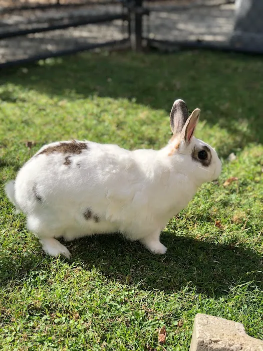 Riverview Animal Clinic Picture 6