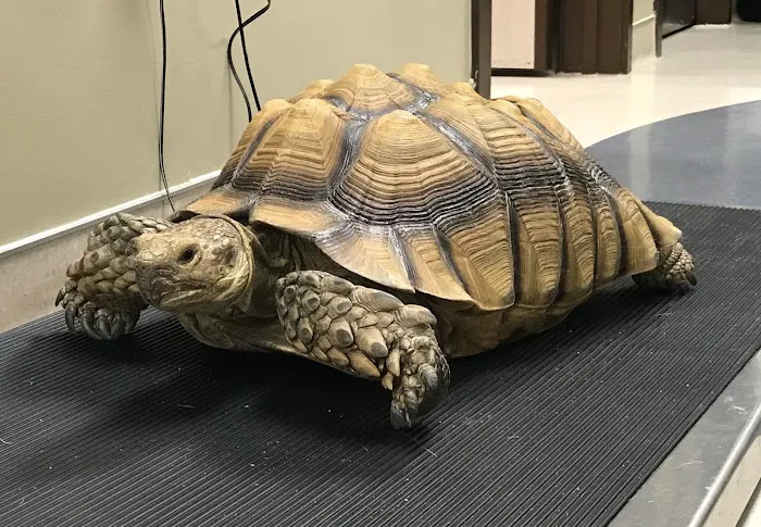 Riverview Animal Clinic Picture 9