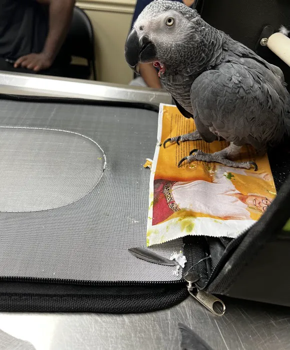 Riverview Animal Clinic Picture 10