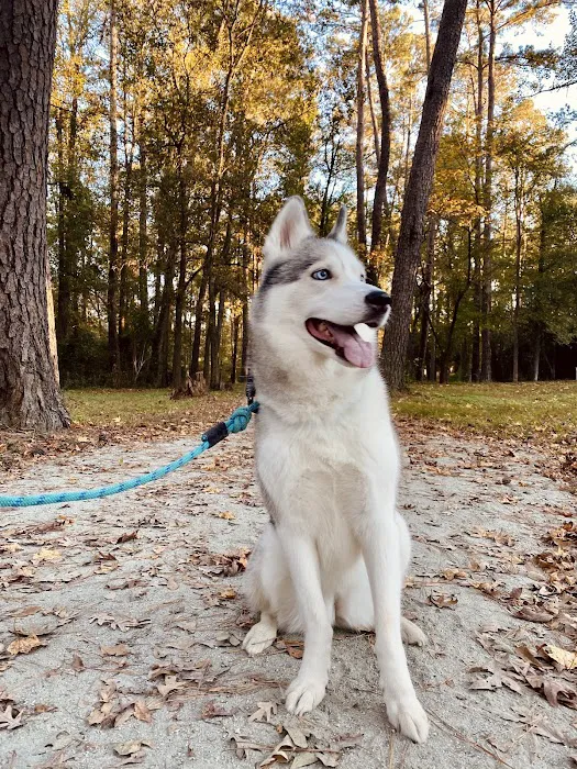 Veterinary Specialists of Birmingham Picture 7