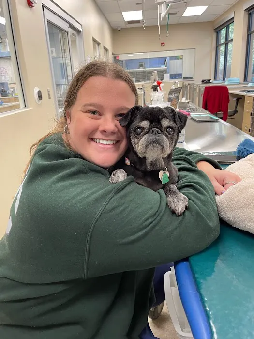 Veterinary Specialists of Birmingham Picture 8