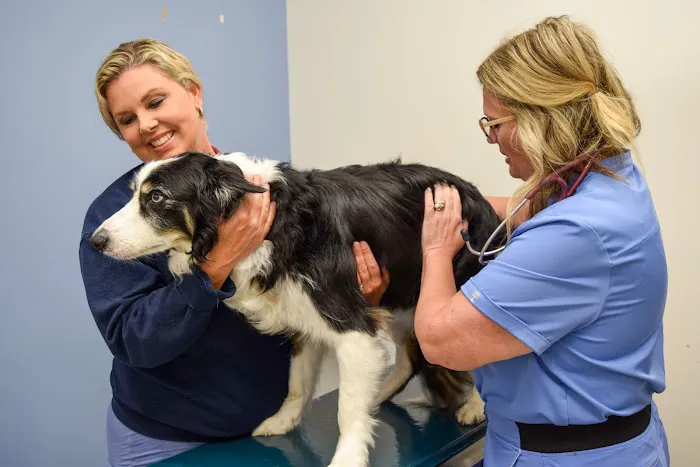 Veterinary Specialists of Birmingham Picture 9