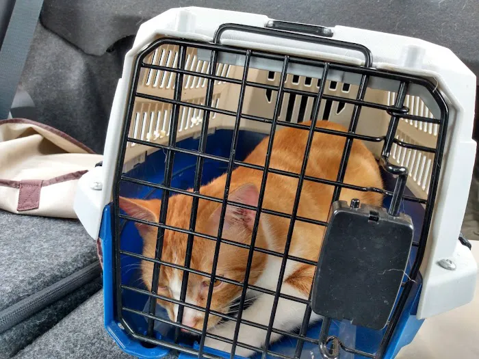 Alabama Spay Neuter Clinic Inc Picture 3