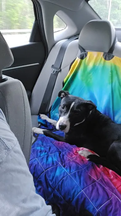 Alabama Spay Neuter Clinic Inc Picture 2