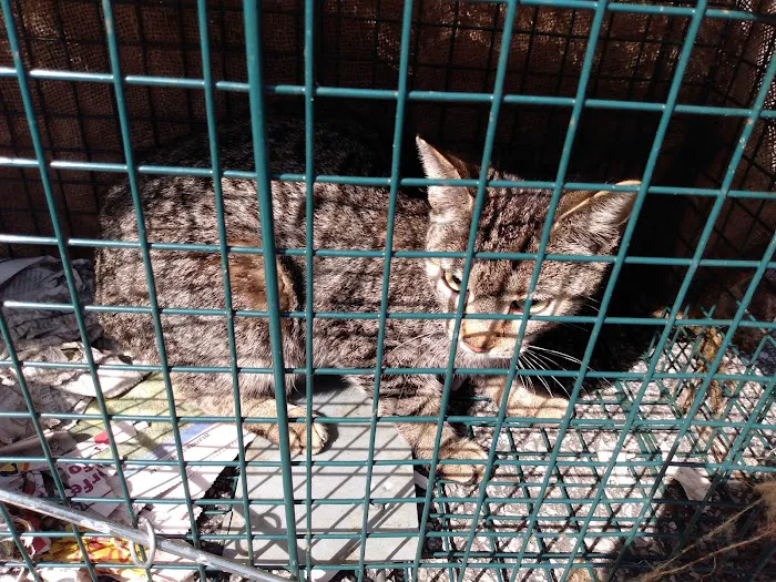 Alabama Spay Neuter Clinic Inc Picture 5