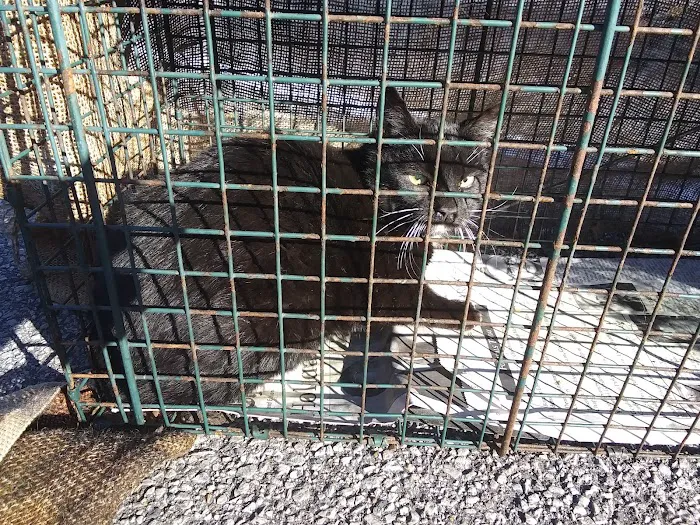 Alabama Spay Neuter Clinic Inc Picture 4