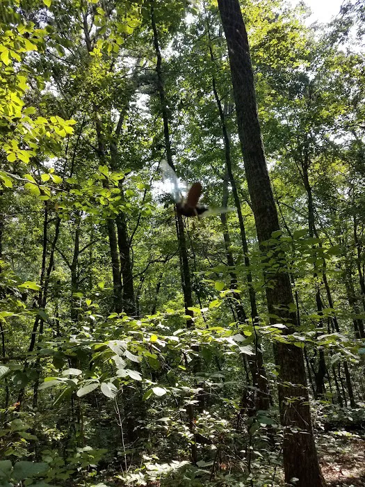 Alabama Spay Neuter Clinic Inc Picture 6