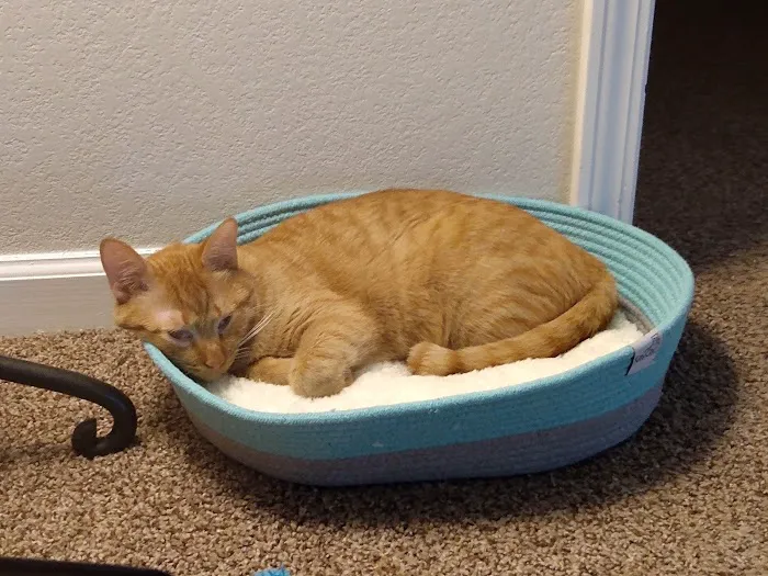 Alabama Spay Neuter Clinic Inc Picture 9