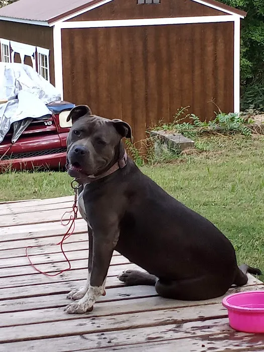 Alabama Spay Neuter Clinic Inc Picture 8