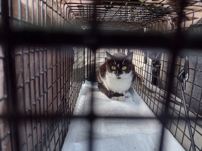 Alabama Spay Neuter Clinic Inc Picture 7