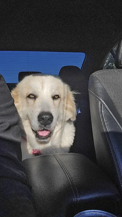 Alabama Spay Neuter Clinic Inc Picture 10