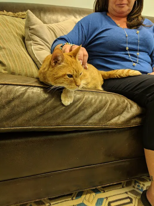 Grants Mill Animal Hospital Picture 2