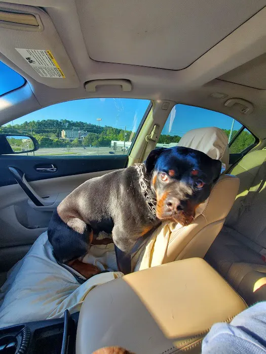 Grants Mill Animal Hospital Picture 1