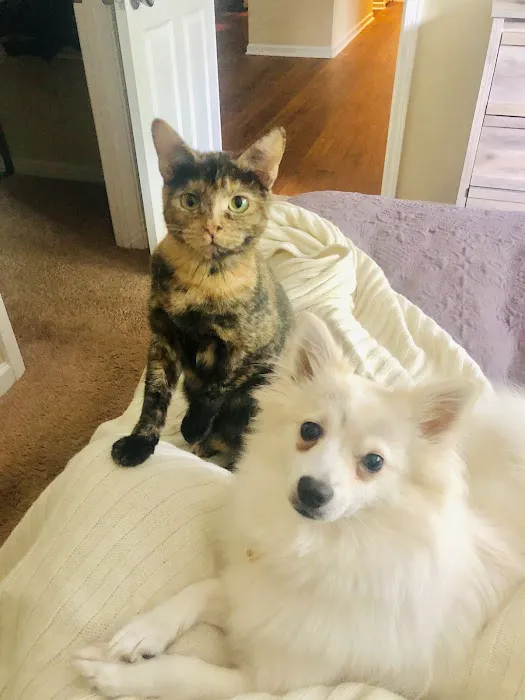 Grants Mill Animal Hospital Picture 3