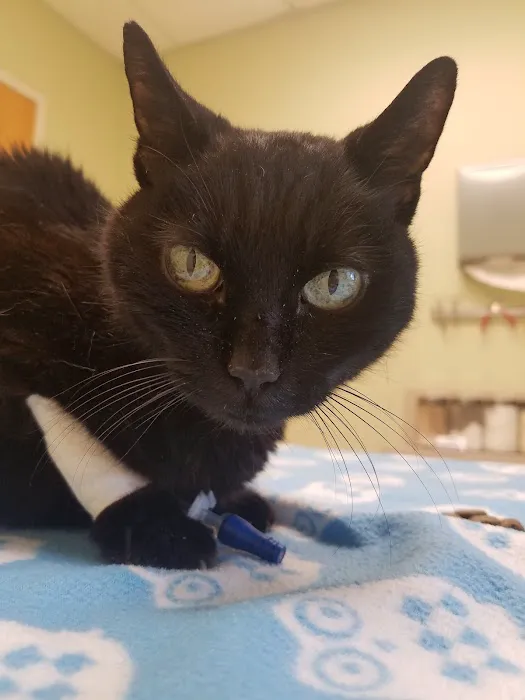 Grants Mill Animal Hospital Picture 5