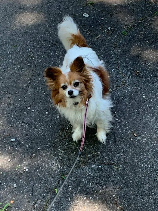 Grants Mill Animal Hospital Picture 8