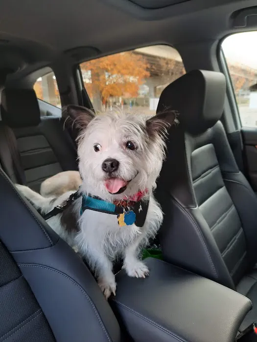 Grants Mill Animal Hospital Picture 7