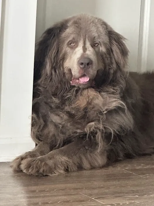 Grants Mill Animal Hospital Picture 10