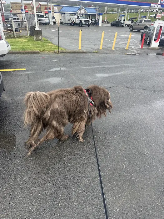 Grants Mill Animal Hospital Picture 9