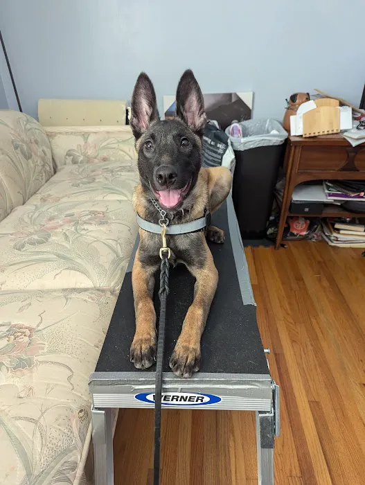 Crestline Pet Care PC Picture 1