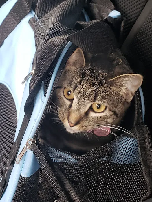 VCA Liberty Animal Hospital Picture 4