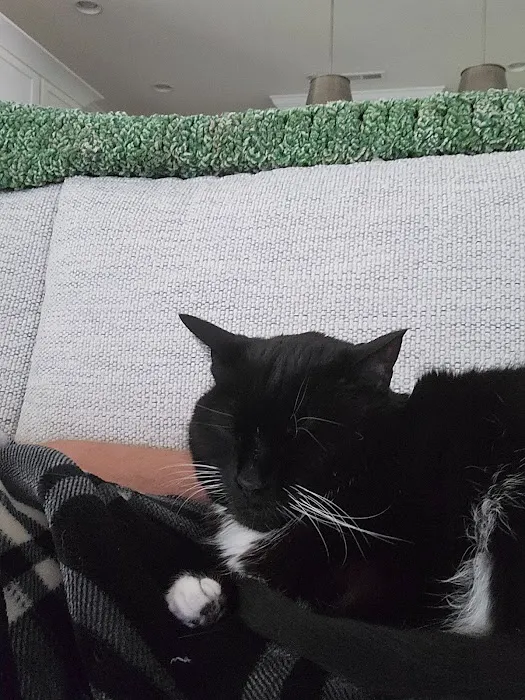 VCA Liberty Animal Hospital Picture 3