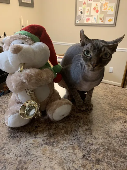 VCA Liberty Animal Hospital Picture 8