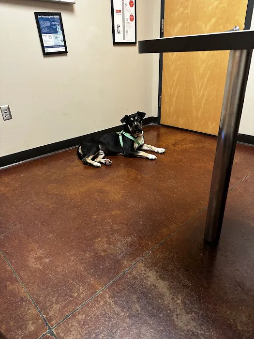 VCA Liberty Animal Hospital Picture 9