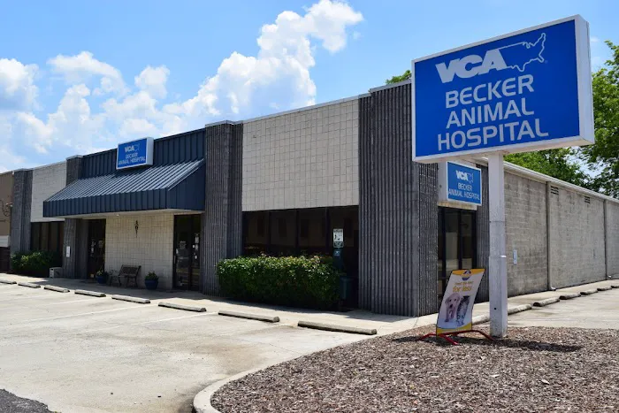 VCA Becker Animal Hospital Picture 5
