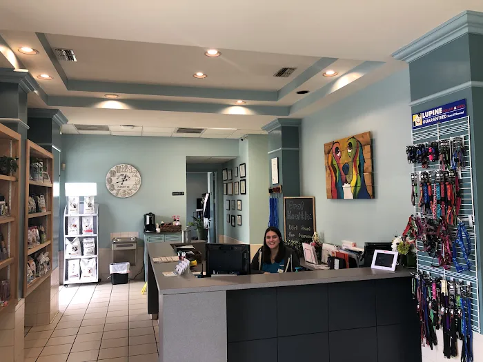 VCA Becker Animal Hospital Picture 6