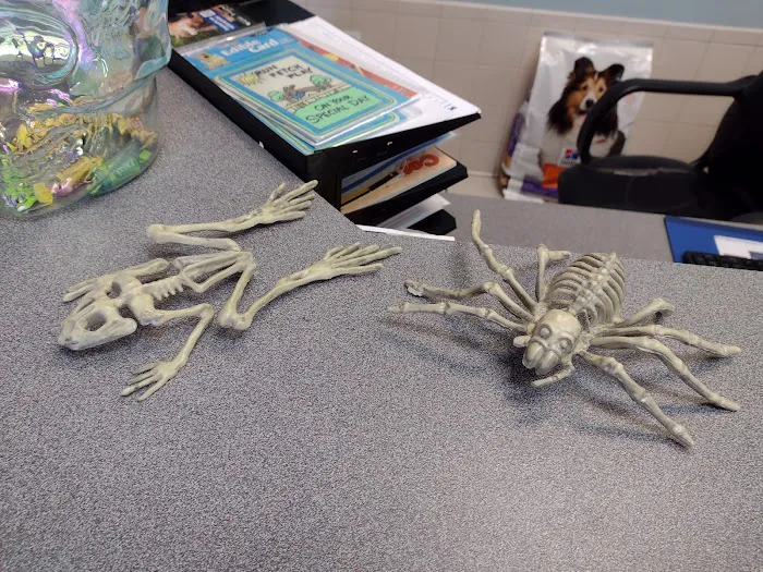 VCA Becker Animal Hospital Picture 3