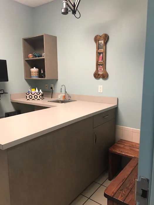 VCA Becker Animal Hospital Picture 8