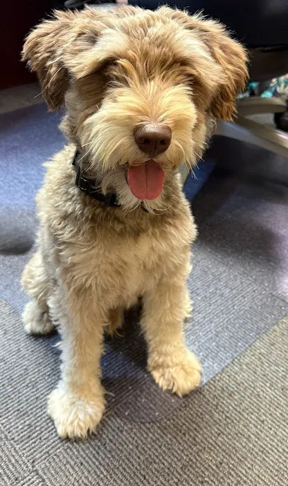 Standifer's Animal Clinic Picture 2