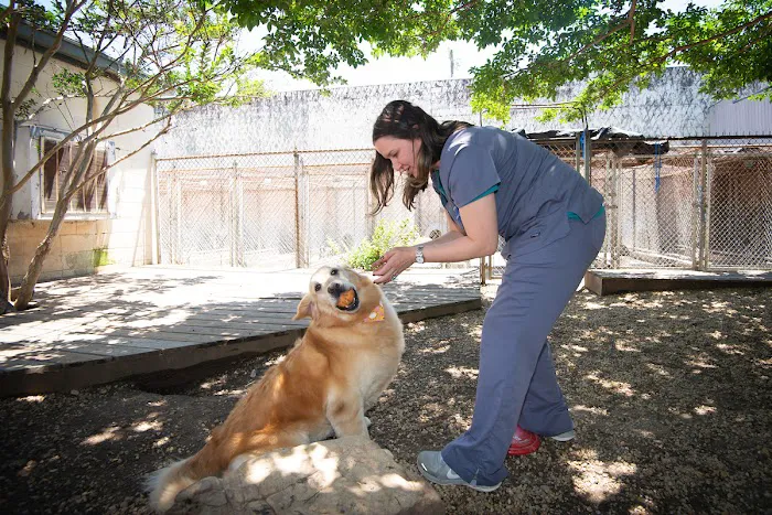 Standifer's Animal Clinic Picture 9