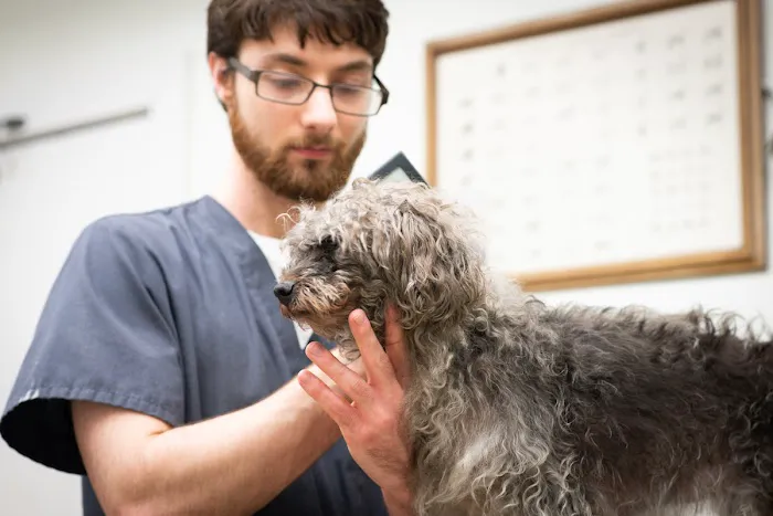 Standifer's Animal Clinic Picture 7