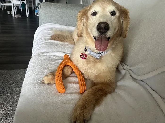 Standifer's Animal Clinic Picture 4