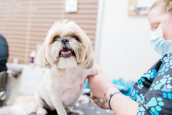 Standifer's Animal Clinic Picture 6