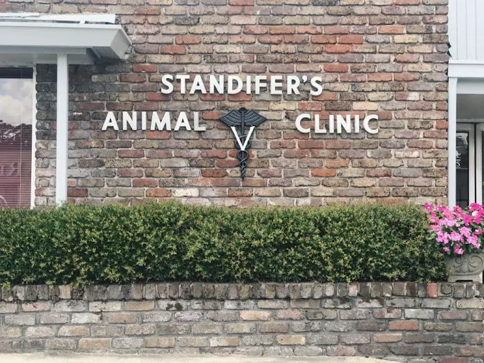 Standifer's Animal Clinic Picture 10