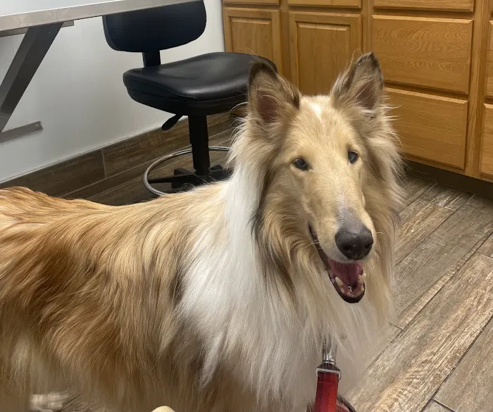 Nall Daniels Animal Hospital Picture 3