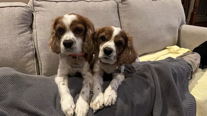 Nall Daniels Animal Hospital Picture 2