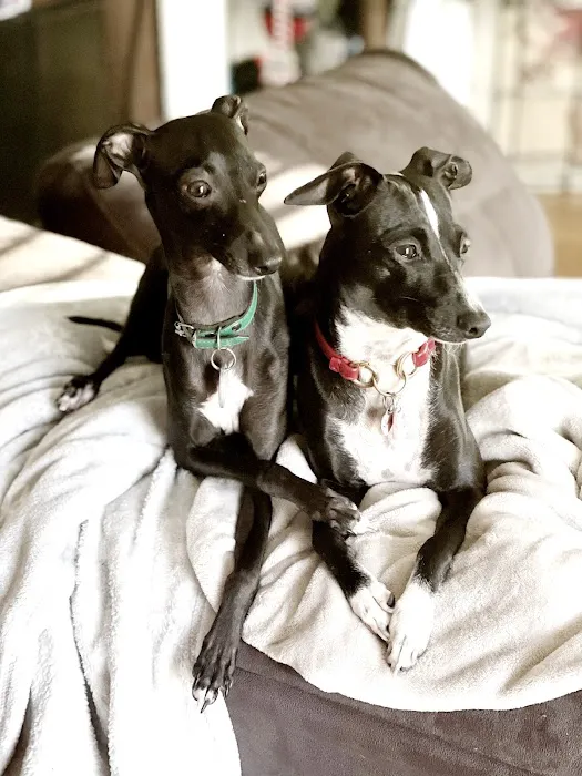 Nall Daniels Animal Hospital Picture 1