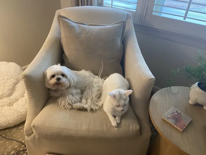 Nall Daniels Animal Hospital Picture 4