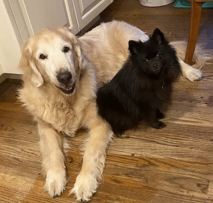 Nall Daniels Animal Hospital Picture 6