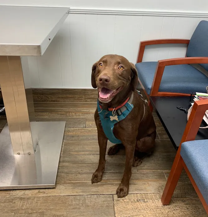 Nall Daniels Animal Hospital Picture 7