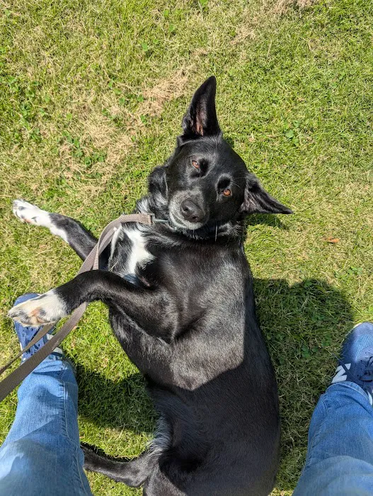 Nall Daniels Animal Hospital Picture 9