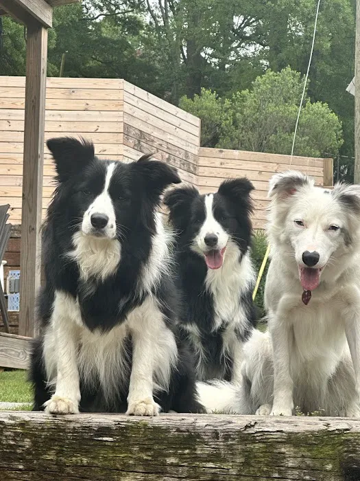 Nall Daniels Animal Hospital Picture 8